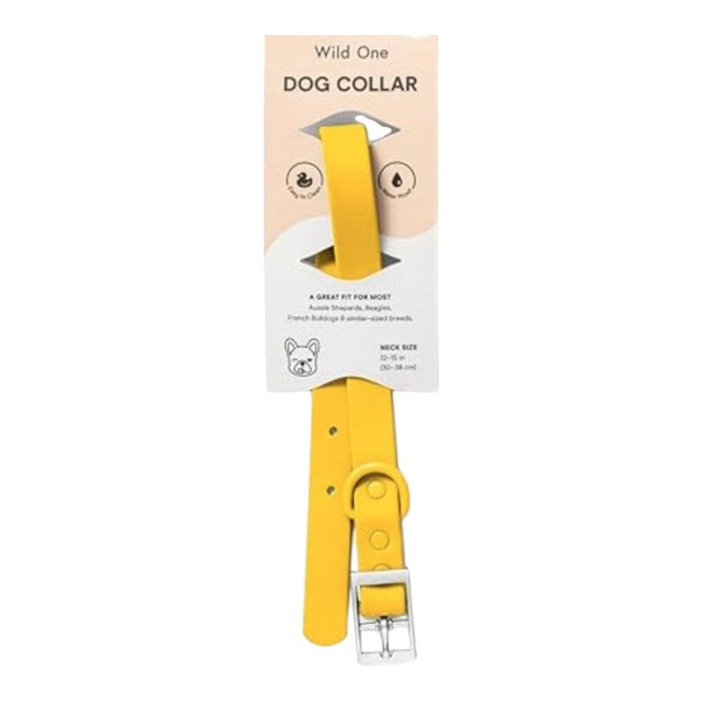 WILD ONE ~ Small Dog Collar ~ 8-12 in ~ Butter Yellow